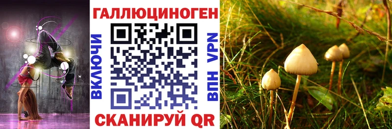 что такое наркотик  маркетплейс как зайти  Галлюциногенные грибы ЛСД  Хвалынск  mega зеркало 